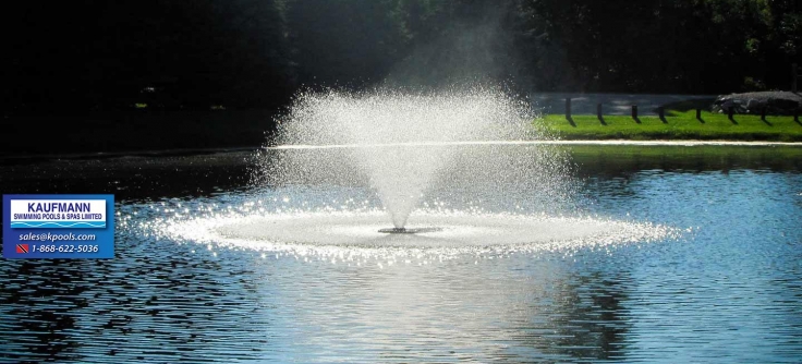  Water Fountains For Pools